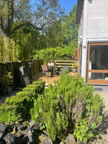 Gite Et Chambre D'Hote Gussignies Exteriör bild